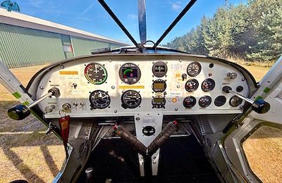 ICP Savannah VG - Bild 2