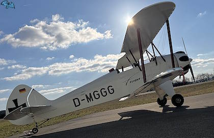 Platzer Kiebitz