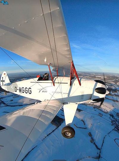 Platzer Kiebitz - Image 3