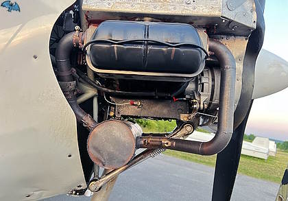 Platzer Kiebitz - Bild 4