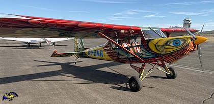 WILD THING WT-01 - Image 4