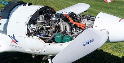 Shark - Image 3