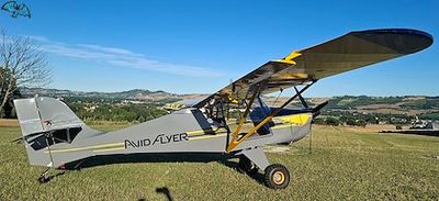 Avid Flyer Heavy Hauler - Image 2