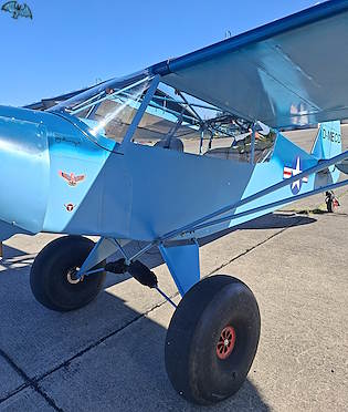 Zlin Savage Cub - Image 3
