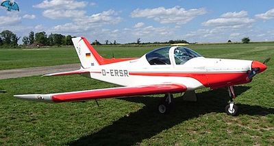 Pioneer 300 / 300 Griffon