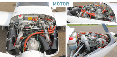 WT-9 - Image 5